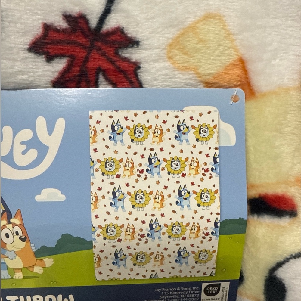 New Bluey & Bingo Fall Pumpkin & Leaves Plush 50" x 70" White Throw Blanket - Picture 3 of 10
